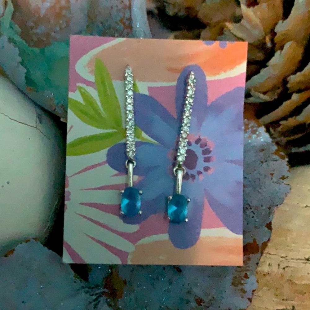 Blue Stone Earrings!